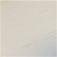 DNP Standard Papier DSRX1HS-4X6HS 2 Rollen à 700 St. 10x15 für DS-RX1HS