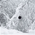 Buteo Photo Gear 3D-Blätter Tarnnetz Schnee 1,5x3 m