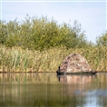 Buteo Photo Gear Swimmversteck Grebe