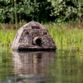 Buteo Photo Gear Swimmversteck Grebe