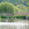 Buteo Photo Gear Swimmversteck Grebe