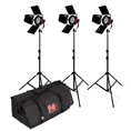 StudioKing Halogen Video Set TLR800-3 Dimmbar