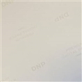 DNP Standard Papier DSRX1HS-4X6HS 2 Rollen à 700 St. 10x15 für DS-RX1HS