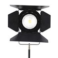 Falcon Eyes Bi-Color LED Spot Lampe Dimmbar CLL-3000TDX auf 230V