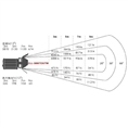 Falcon Eyes Bi-Color LED Spot Lampe Dimmbar CLL-3000TDX auf 230V