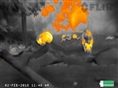 FLIR Scout TKx Wärmebildkamera