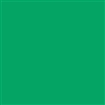 Falcon Eyes Hintergrund Papier 46 Chroma Green 0,57 x11 m