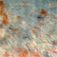 Falcon Eyes Stoffhintergrund S052 2,9x7 m