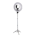 StudioKing LED Ringlampe Set LED-480ASK mit Stativ