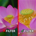 Makro Vorsatzlinsen