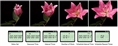 Pixel Timer-Fernbedienung Drahtlos TW-283/DC0 für Nikon
