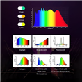 Sirui RGB LED Monolight C300R Colorful