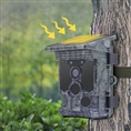 Stealth Gear Fox Solar 4K Wifi Wildcamera