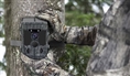 Stealth Gear Fox Solar 4K Wifi Wildcamera