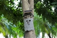 Stealth Gear Owl Solar 4K Wifi Wildcamera