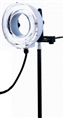 Linkstar Ringblitz RDH-600 600Ws