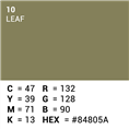 Superior Hintergrund Papier 10 Leaf 1,35 x 11m