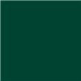 Superior Hintergrund Papier 12 Deep Green 1,35 x 11m