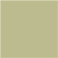 Superior Hintergrund Papier 13 Tropical Green 1,35 x 11m