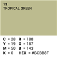 Superior Hintergrund Papier 13 Tropical Green 1,35 x 11m