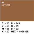 Superior Hintergrund Papier 67 Nutmeg 1,35 x 11m