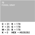 Superior Hintergrund Papier 72 Fossil Gray 2,72 x 11m