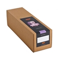 Tecco Inkjet Paper Premium Silk Raster PSR290 Proberolle 43,2 cm x 5 m