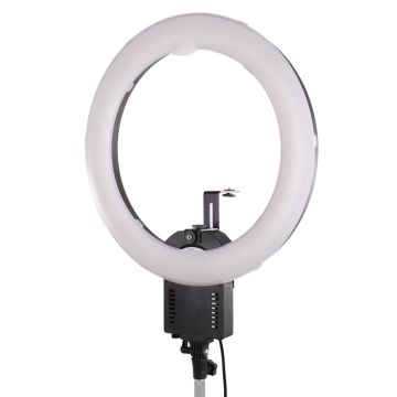 Falcon Eyes Ringlampe FLC-65 65W + TMB-20Z