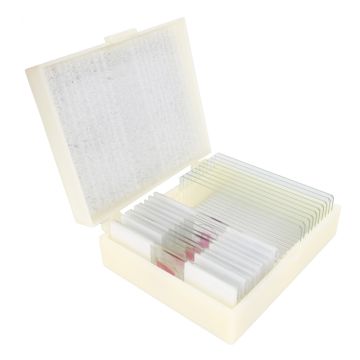 Konus Preparate Set Lizards, Birds and Snakes (10 Stk.)
