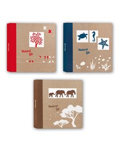 Zep NF293150 Pergamin Album 50 sheets 29x31 cm 6 Stück