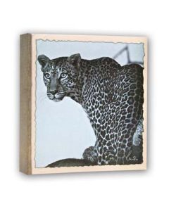 Zep WL57100 Album Slip-in 100 photos 13x19 cm - 12 Alben