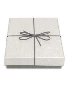 Zep Aufbewahrungskiste BX3514B Box Piacenza B 15,3x21,4x4