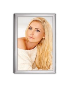 Zep 120S20-8R Silver Frame 20x25 cm