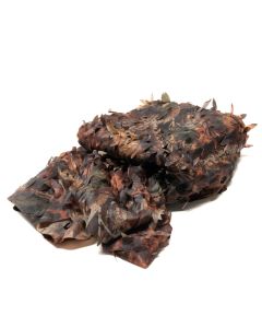 Buteo Photo Gear Tarnnetz 1 Farbiges Blatt 2,4x3 m Buteo Photo Gear Tarnnetz 1 Farbiges Blatt 2,4x3 m