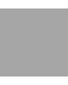 Falcon Eyes Stoffhintergrund BCP-03 2,9x5 m Grau Waschbar